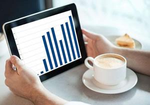 商標駁回復(fu)審